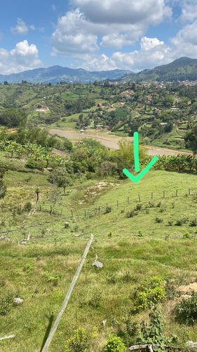 Lote En Parcelacion El Peñol Con Vista Al Embalse