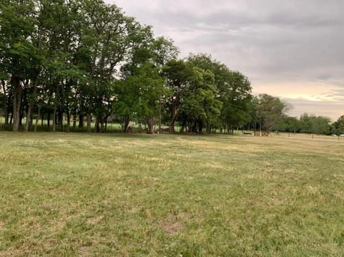Imagen 21 de 24 de Venta/permuta- Hermosa Parcela De 8500 Mts
