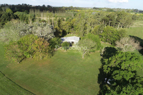 Imagen 21 de 30 de Terreno Campo En Venta O Permuta Ubicado En Baradero, Resto De La Provincia, Buenos Aires