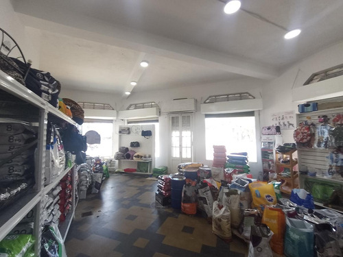 Local - San Lorenzo