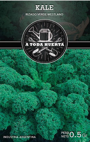 Imagen 1 de 4 de Semillas Kale Rizado Verde X Sobre A Toda Huerta