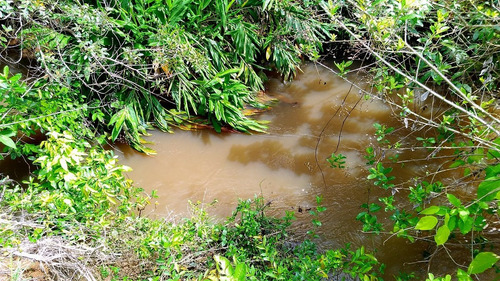 Imagem 5 de 11 de Chacara - Zona Rural - Ref: 955 - V-955