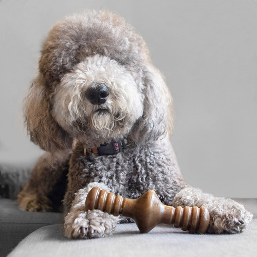 Imagen 4 de 10 de Hueso Masticable Benebone Zaggler Bacon Large Juguete Perro