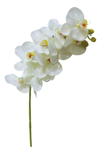 Haste De Orquidea Phalaenopsis Amabilis Branca X9 72cm