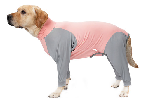 Abrigos De Invierno, Sudaderas Para Cuatro Mascotas, Piernas