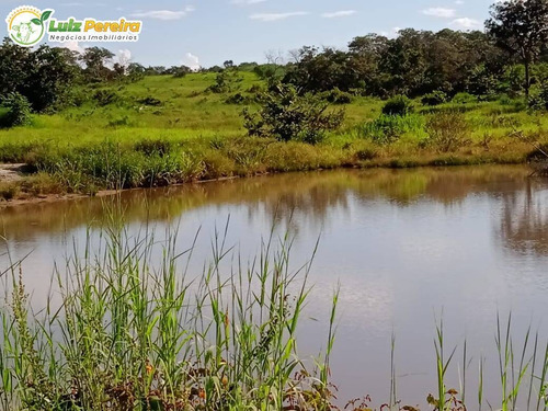 Imagem 5 de 15 de Fazenda Em Breu Branco - Pa - 2.584,56 Hectares (dupla Aptidão) - 2158