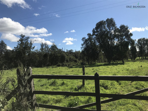 Agrícola En Venta En Puerto Varas , Nueva Braunau