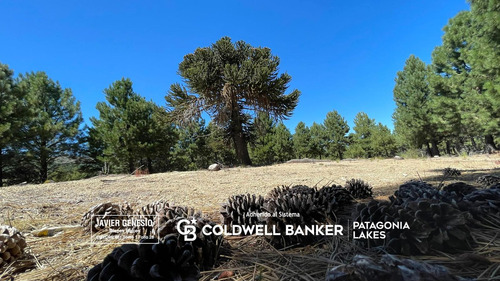 Venta Lote 1300m2, Altos De Pehuenia Villa Pehuenia