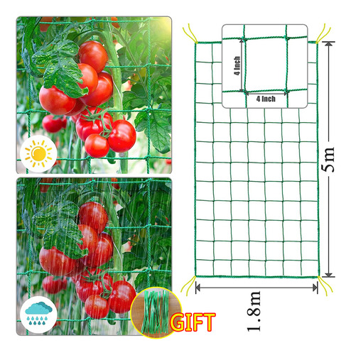 Red De Cultivo De Malla Enrejada Para Enredaderas Y Frutas