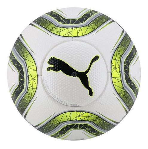 puma final 1 statement