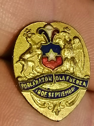 Antiguo Pin Escudo De Chile Esmaltado Dorado Oro