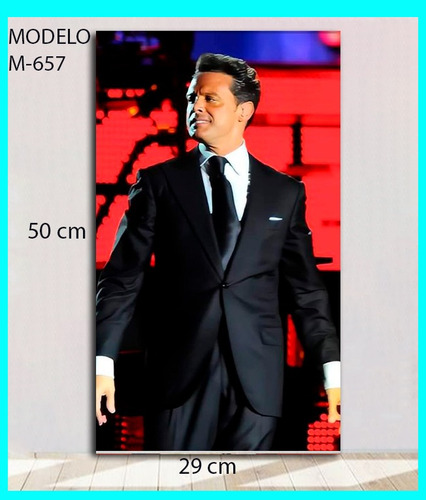 Cuadro Decorativo Luis Miguel 29x50 Cm Musica El Sol Luismi 