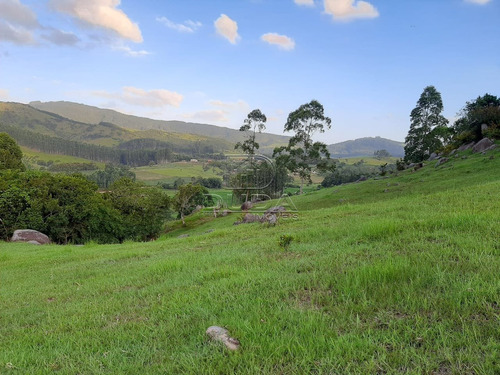 Imagem 3 de 15 de Sitio - Fazenda Rio Das Garcas - Ref: 34379 - V-34376