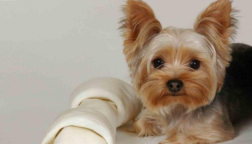 Imagen 4 de 6 de Alimento Para Perros Iron Dog Cachorros Pequeños 3paq. 1kg