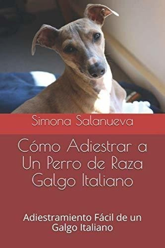 Cómo Adiestrar A Un Perro De Raza Galgo Italiano: Adiestrami