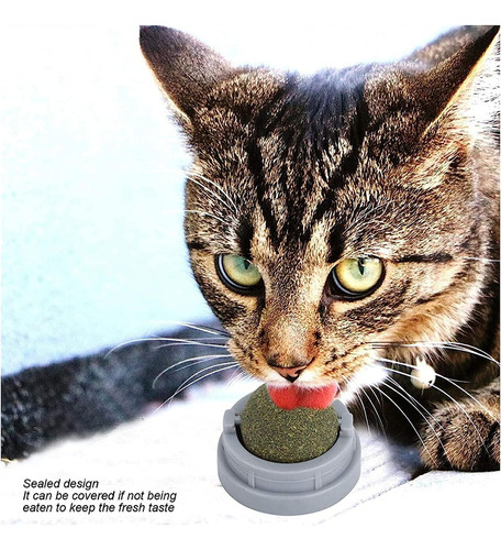 Bola Hierba Gatera Catnip Para Gatos Bola Snack Catnip