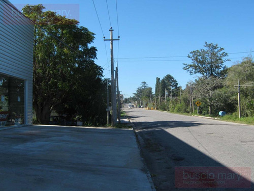 Imagen 12 de 12 de Local - Colonia Del Sacramento