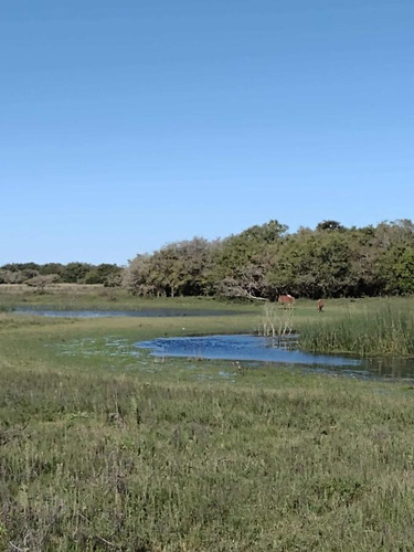 Imagen 7 de 19 de Campo En Venta - 101 Hectáreas - Pinamar