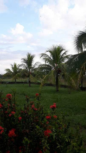 Imagen 6 de 13 de Finca Los Malavares Yaracuy