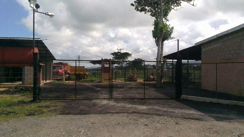 Imagen 9 de 14 de Venta Finca En Falcón Tucacas Oportunidad Cod. 423619