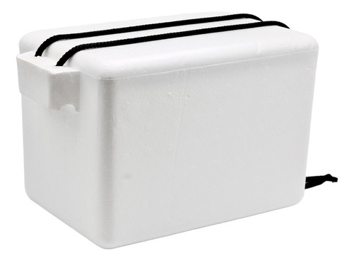 Hielera Chica Caja Termica Unicel Capacidad 4.5 L Color Blanco