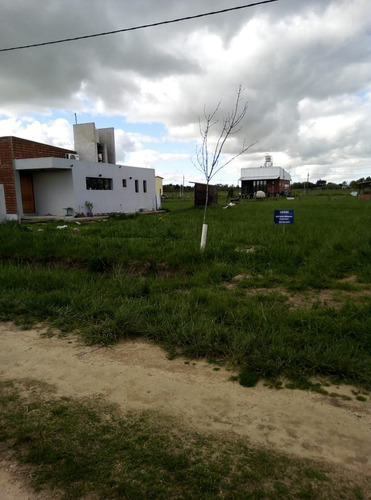 Imagen 4 de 10 de En Arana, Bº Las Luciérnagas Terreno En Venta 140 Entre 646 Y 648