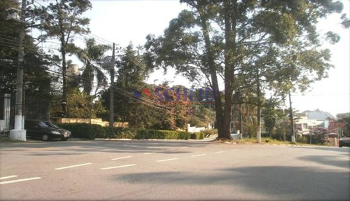 Imagem 3 de 6 de Comercial Com 1000m2 - Mc7887