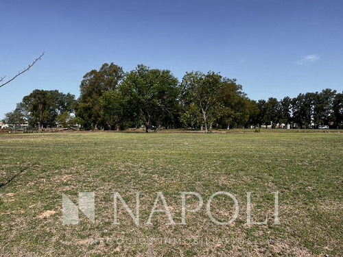 Venta De Lote Fondo A La Laguna, Lagos De San Eliseo Canning