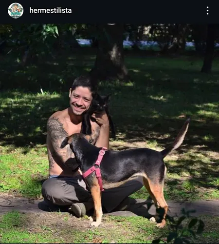 Peluquería Canina Felina Perro Gato Domicilio Caba Alrededor