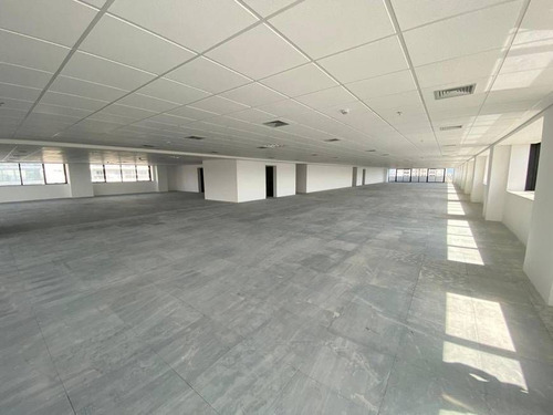 Imagem 1 de 30 de Laje Para Alugar, 1060 M² Por R$ 60.000/mês - Várzea Da Barra Funda - São Paulo/sp - Lj0002