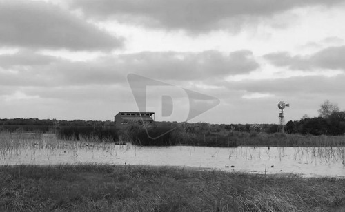 Quinta En Venta En Laguna Del Rosario