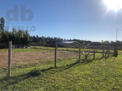 Imagen 5 de 7 de Terreno - Zarate