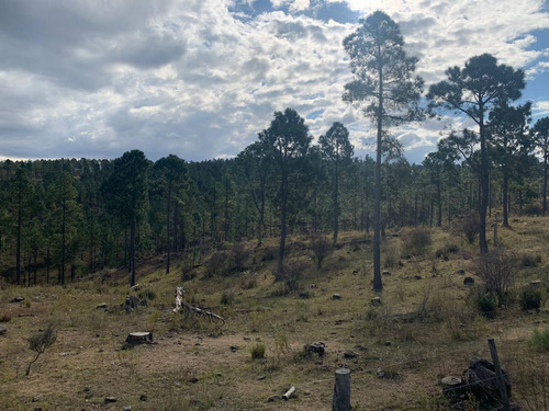 Imagen 2 de 5 de Excelente Lote En Venta En Las Sierras Cordobesas