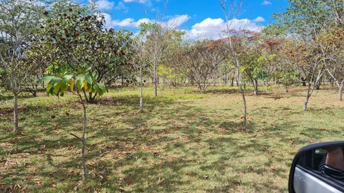 Imagem 10 de 30 de Terreno À Venda, 300 M² Por R$ 127.100,01 - Residencial Fazenda Pinheirinho - Rio Das Pedras/sp - Te0405