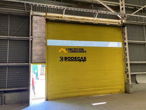 Arriendo Bodega De 777 M2 En Pi De San Bernardo.