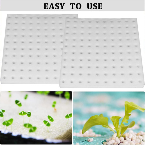 Plantas De Esponja Hidropónica Capa De Crecimiento Cultivo