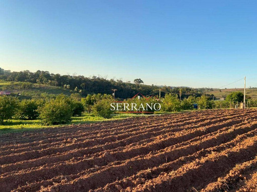 Imagem 11 de 22 de Chácara À Venda, 26400 M² Por R$ 2.500.000,00 - Reforma Agrária - Valinhos/sp - Ch0043