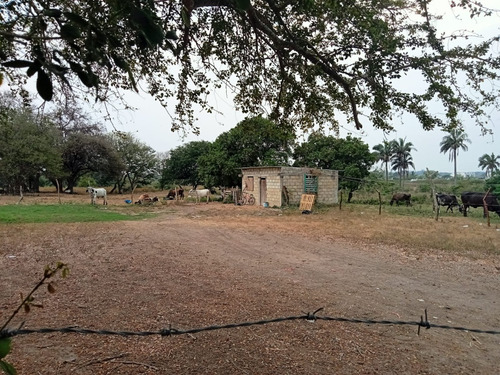 Terreno En Venta En Veracruz Ideal Para Inversión En Mata Cocuite Ver.