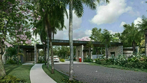 Imagen 14 de 15 de Lote Residencial En Chablekal