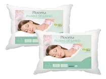 Comprar Kit 02 Travesseiros Plooma 100% Plumas Ganso 233fios 50x70cm