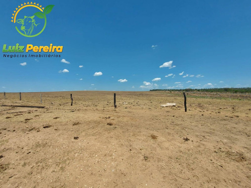 Imagem 3 de 14 de Fazenda À Venda Em Tupiratins - To -n 1.728 Hectares (dupla Aptidão) - 2058