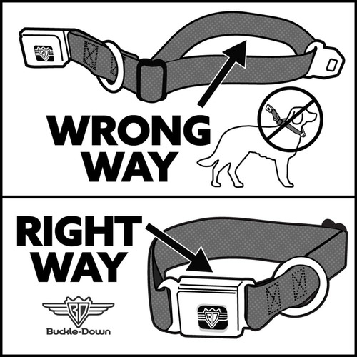 Collar Para Perro Con Hebilla Para Cinturón De Seguridad - B
