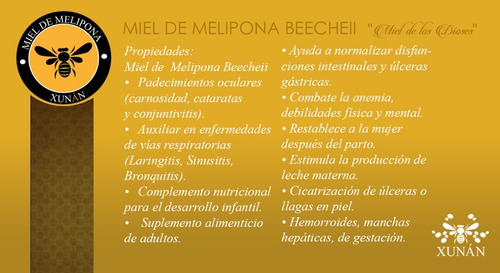 Imagen 3 de 7 de Miel De Melipona