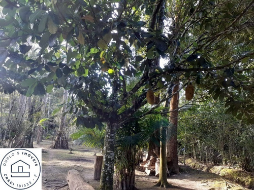 Imagem 16 de 29 de Chácara Em Iguape , Lado Morro, Isolada , Murada, 2 Dormitórios Sendo 1 Suite, Banheiro , Sala, Cozinha, Garagem , Churrasqueira, Varanda, 2 Tanques D - 6588 - 70066609