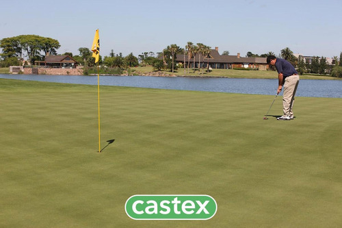 Imagen 17 de 22 de Lote En Venta En El Golf, Nordelta