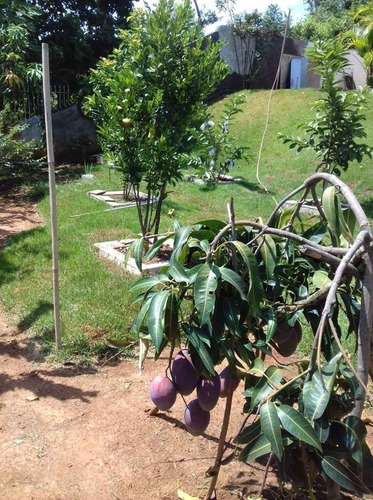 Imagem 9 de 26 de Chácara 1000m2, Casa Sede Com 150m2, 3 Dormitórios Sendo Todas Suítes, Cozinha Americana Planejada, Árvores Frutíferas, Quintal, Jardim, 5 Vagas - Ch00226 - 70709150