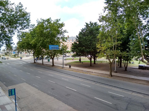 Imagen 17 de 18 de Excelente Departamento 3 Ambientes Al Frente