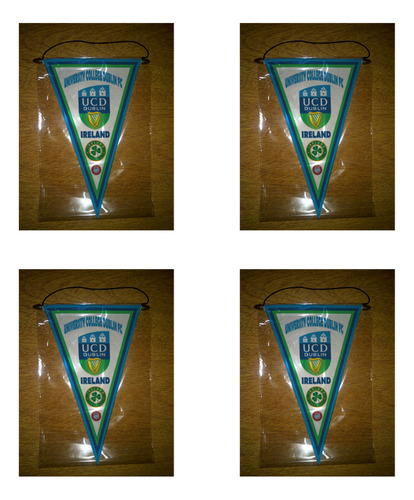 Banderin 37cm Paño Irlanda University College Dublin Fc