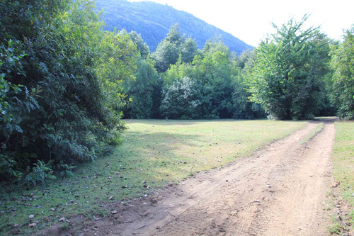 Campo De 326 Hectáreas En Llanada Grande, Cochamó.