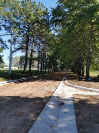 Imagen 5 de 18 de Terreno - Nueva Zelaya
